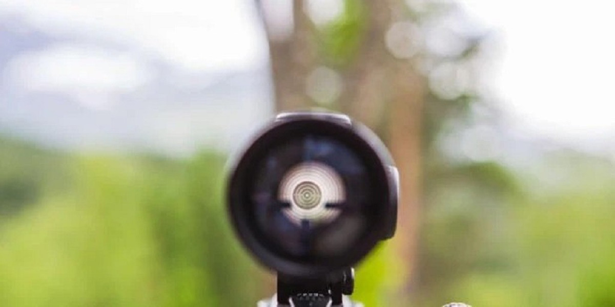 Article Picture