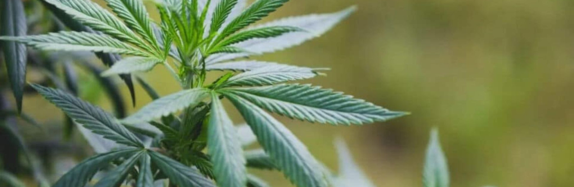 420 Accounting Services Cover Image