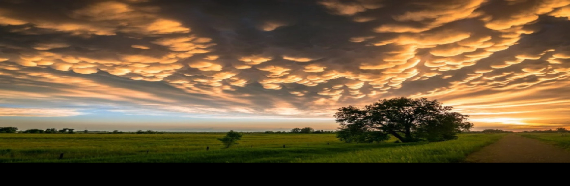 Storm Chasing Adventure Tours Cover Image