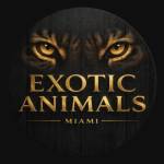 Exotic Animals Miami Profile Picture