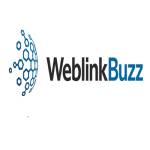 Weblinkbuzz Ltd Profile Picture